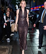 Leslie Bibb Web