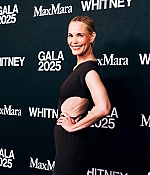 Leslie Bibb Web