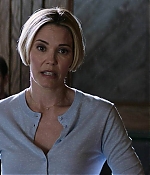 Leslie Bibb Web