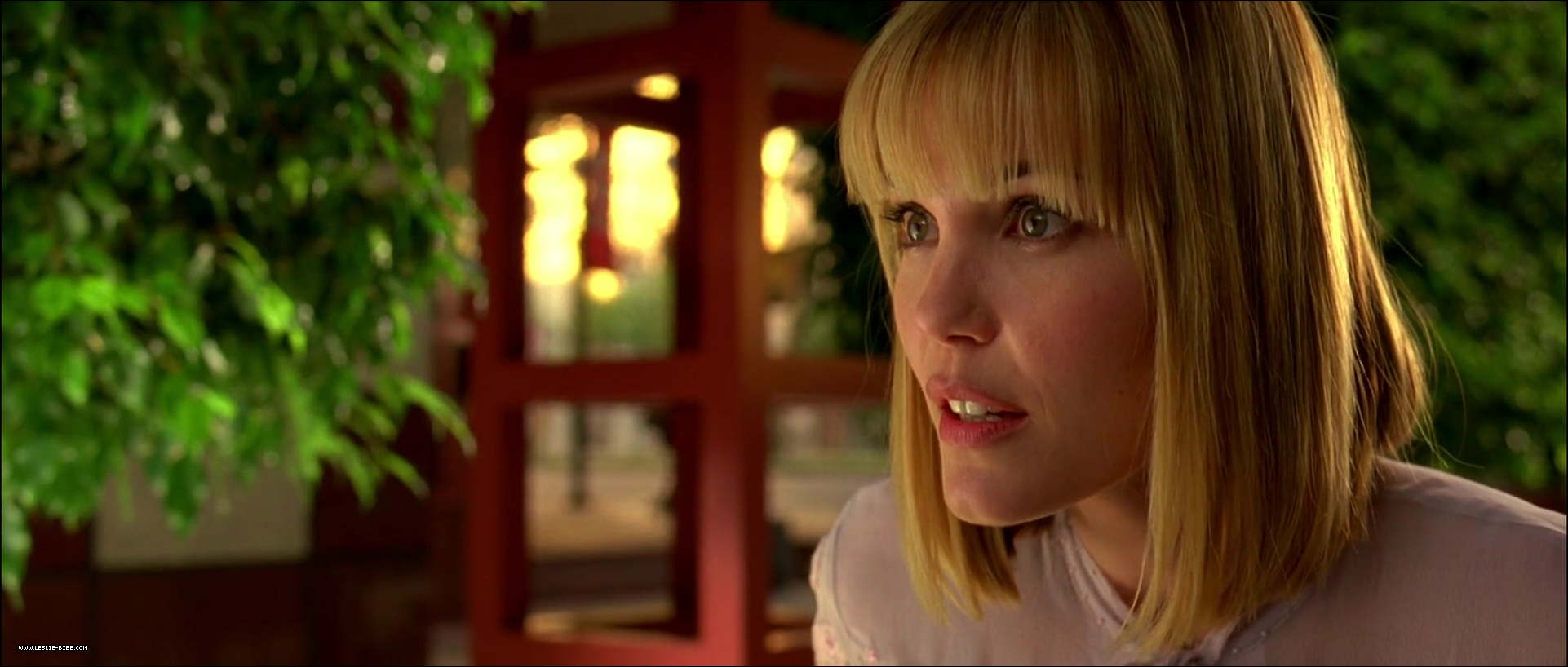 1564.jpg