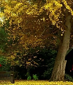 Filename=2203.jpg
Filesize=217KiB
Dimensions=1922x818
Date added=Oct 28, 2020 2203.jpg