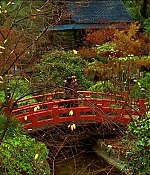 Filename=2415.jpg
Filesize=276KiB
Dimensions=1922x818
Date added=Oct 28, 2020 2415.jpg
