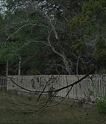 Filename=2384.jpg
Filesize=263KiB
Dimensions=1922x1038
Date added=Apr 14, 2020 2384.jpg