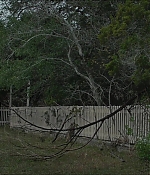 Filename=2385.jpg
Filesize=265KiB
Dimensions=1922x1038
Date added=Apr 14, 2020 2385.jpg