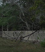 Filename=2388.jpg
Filesize=263KiB
Dimensions=1922x1038
Date added=Apr 14, 2020 2388.jpg