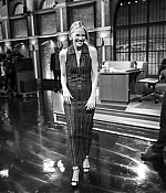 Leslie Bibb Web