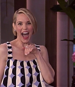 Leslie Bibb Web
