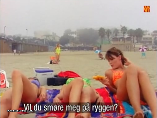 041.jpg 041.jpg