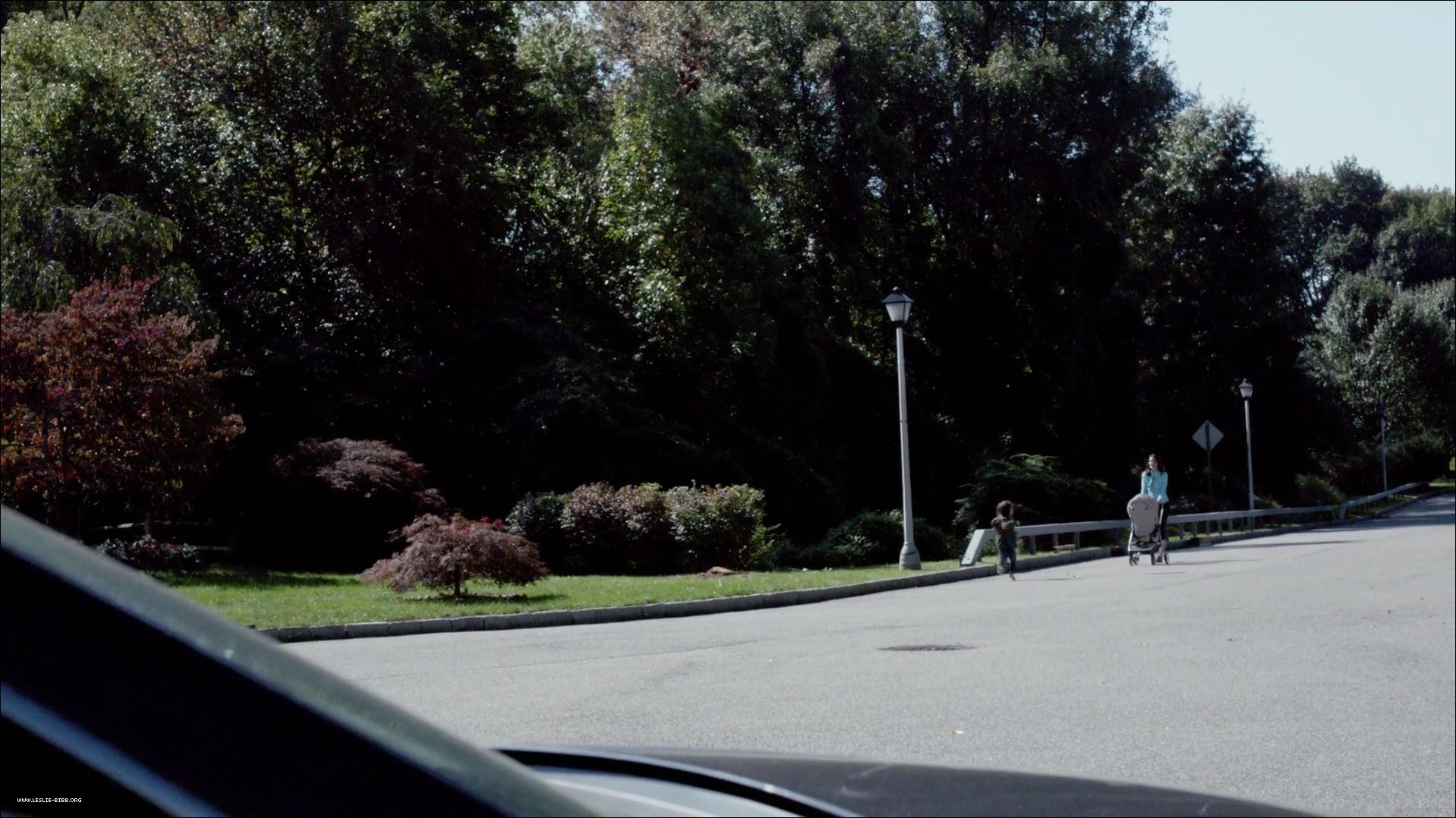 003.jpg 003.jpg