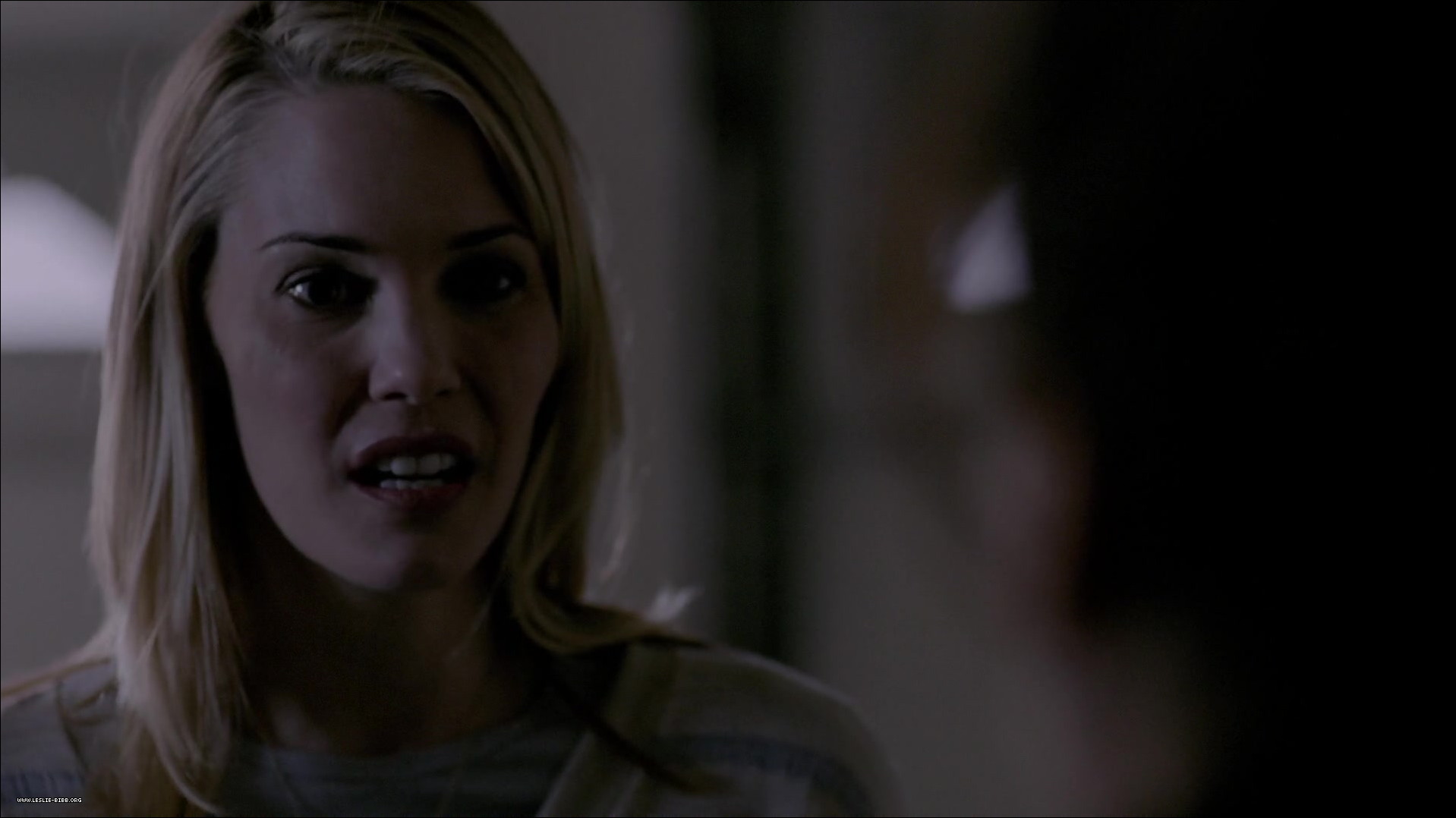 053.jpg 053.jpg