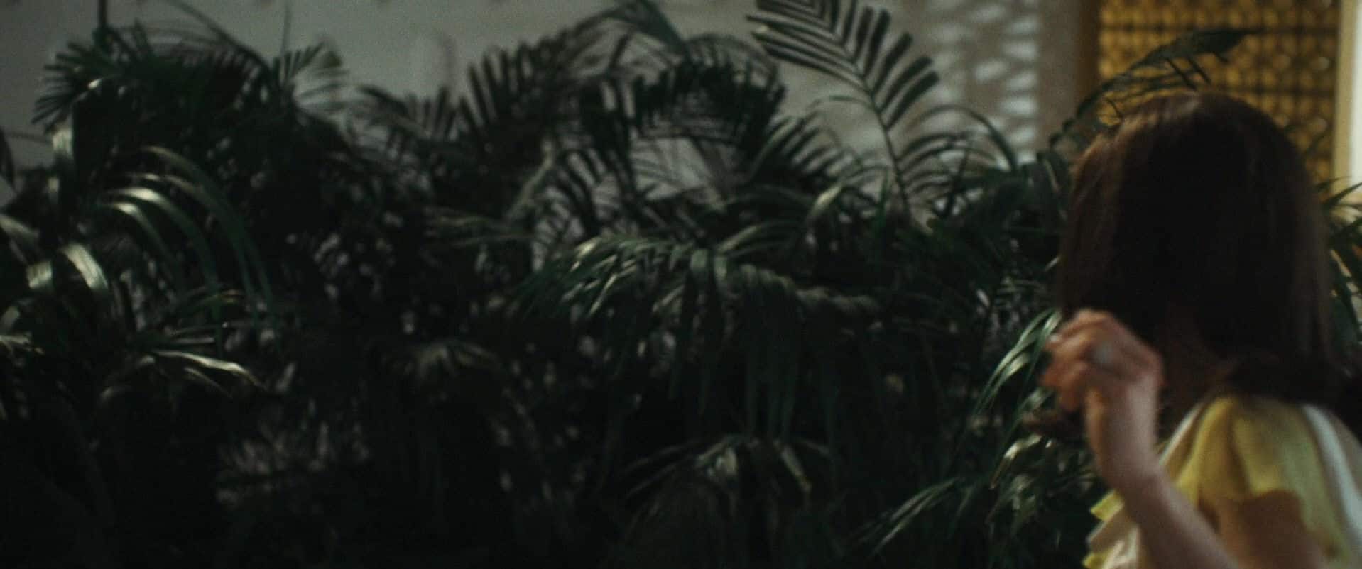 0250.jpg 0250.jpg