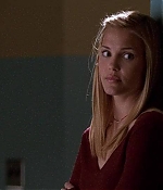 Leslie Bibb Web