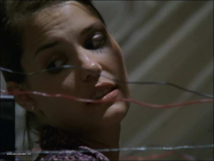 0443.jpg 0443.jpg